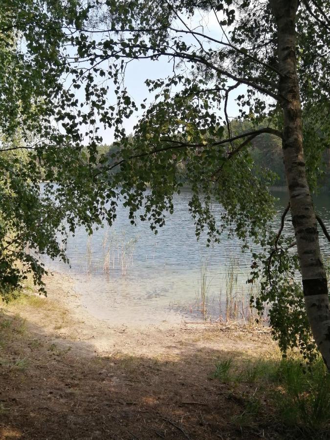 Ferienhäuser Golinski mit Kamin und umzäutem Grundstück am Neuendorfer See Alt Schadow Exterior foto