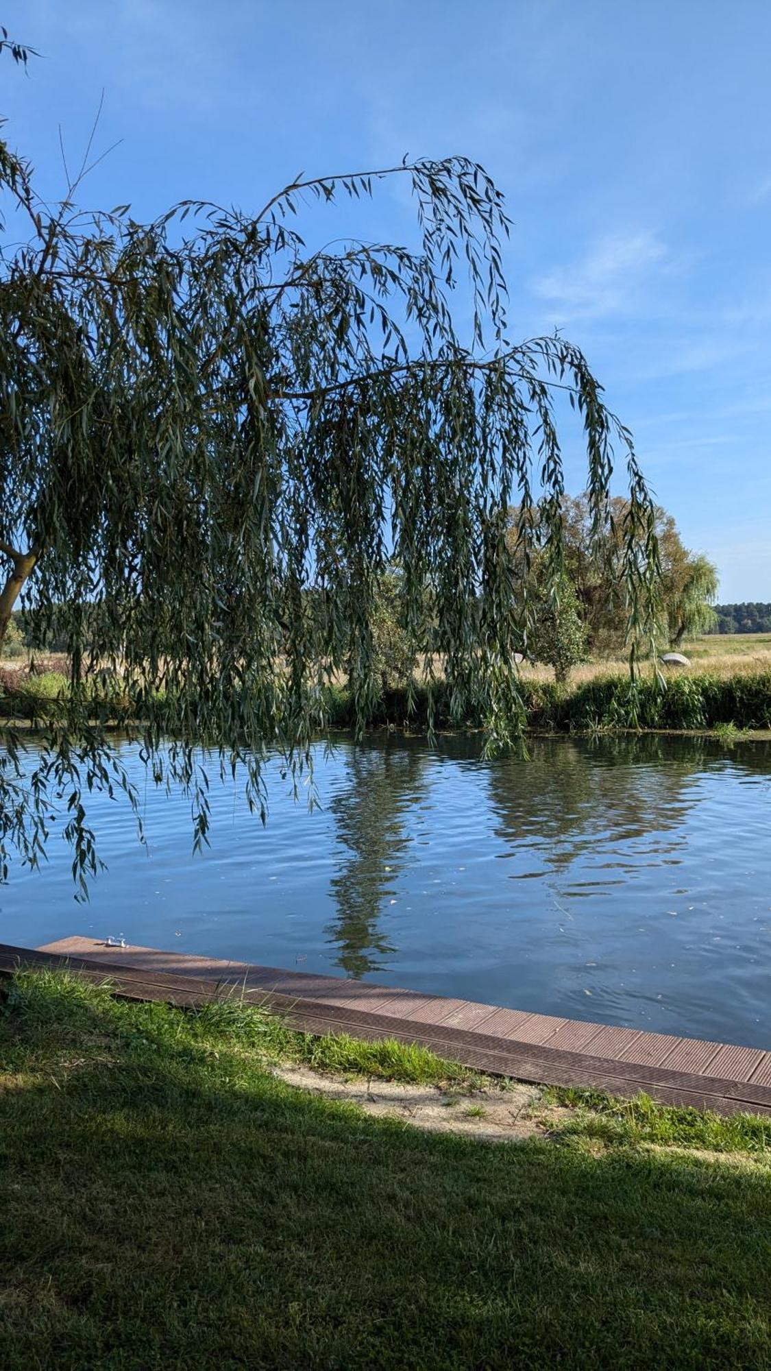Ferienhäuser Golinski mit Kamin und umzäutem Grundstück am Neuendorfer See Alt Schadow Exterior foto