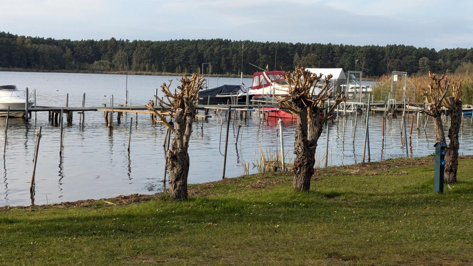 Ferienhäuser Golinski mit Kamin und umzäutem Grundstück am Neuendorfer See Alt Schadow Exterior foto