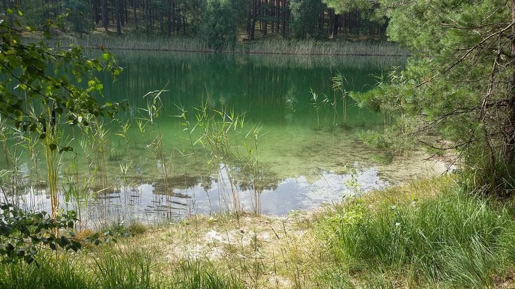 Ferienhäuser Golinski mit Kamin und umzäutem Grundstück am Neuendorfer See Alt Schadow Exterior foto