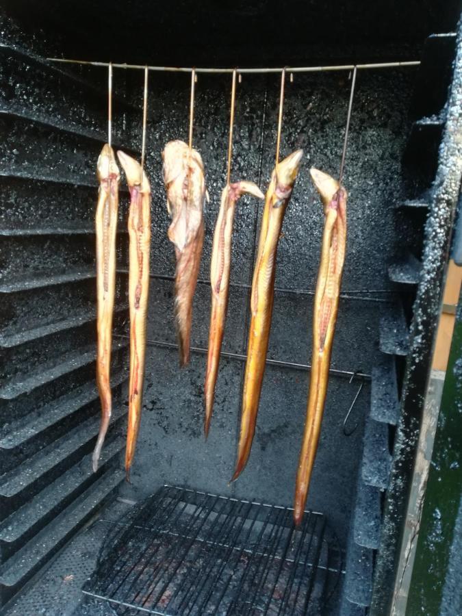 Ferienhäuser Golinski mit Kamin und umzäutem Grundstück am Neuendorfer See Alt Schadow Exterior foto