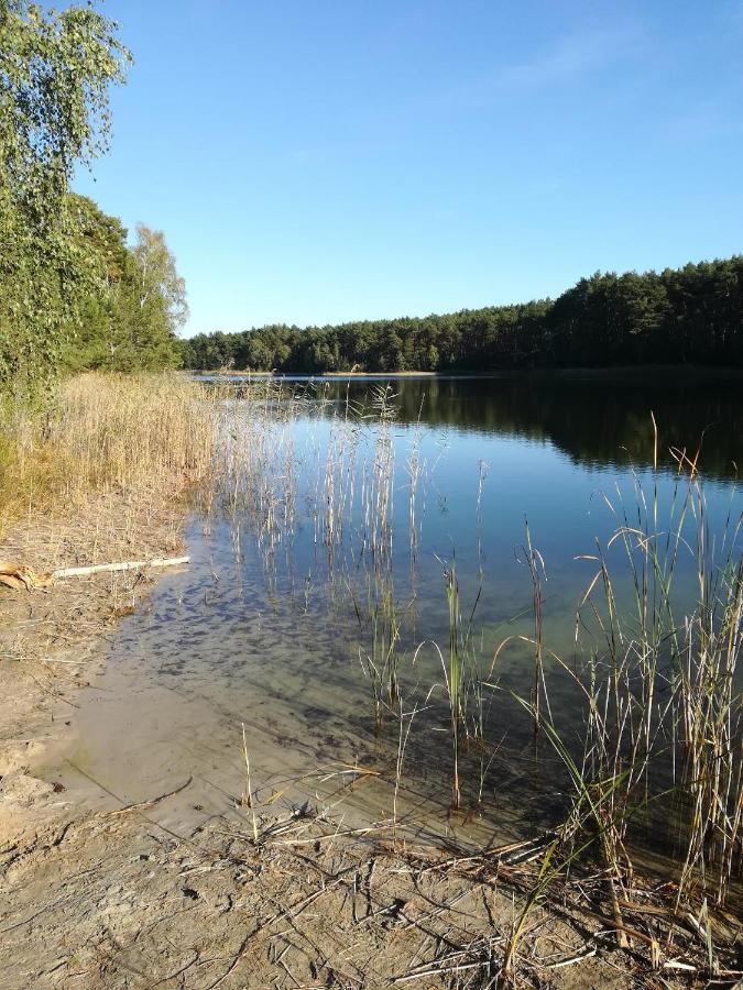 Ferienhäuser Golinski mit Kamin und umzäutem Grundstück am Neuendorfer See Alt Schadow Exterior foto